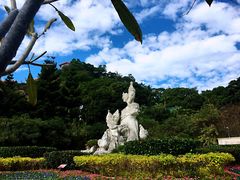 -金鸡山公园