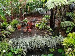 -热带雨林自然公园