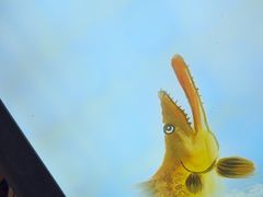 -徽三说·土徽菜·中国徽菜连锁品牌(一中店)