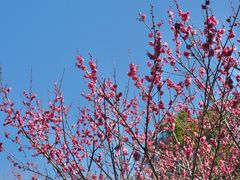 -河姆渡遗址博物馆