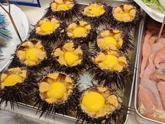 -日月昇渔家菜·海肠捞饭·大连海鲜(星海公园店)