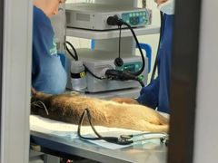 -联合动物医院(光谷诊疗中心)