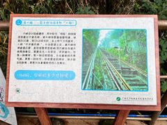 -广东大峡谷