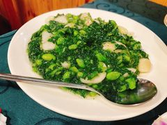 菱角毛菜-漕溪人家