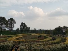 -铁山坪森林公园