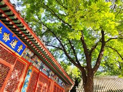 -潭柘寺景区