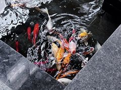 -天津海河悦榕庄·Lobby Lounge大堂吧