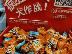 -海底捞火锅(铂澜大象城店)