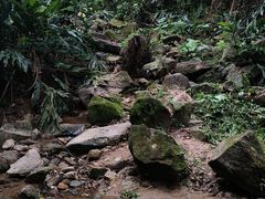 -火炉山森林公园
