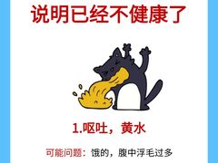 -美联众合动物医院·24h转诊中心