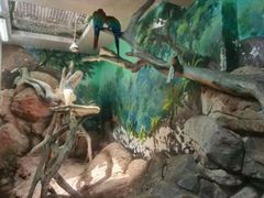 -福州罗源湾海洋世界旅游区