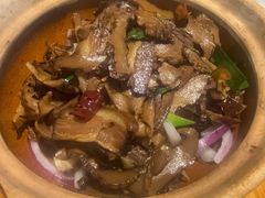 -天辣(金桥啦啦宝都店)