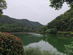 -桃花岭景区