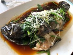 清蒸石斑鱼-前王院•巧克力海鲜市集餐厅(万平口店)