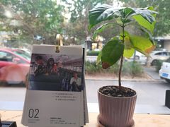 -2326 Coffee Roaster咖啡豆可选店(林肯公园店)