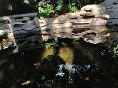 -静安公园(静安寺街道)