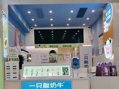 -一只酸奶牛(春熙路店)