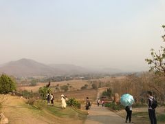 -黄色小屋