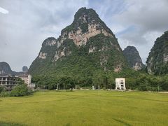 -明仕田园