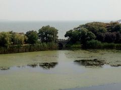 -上海市保健医疗中心(华东疗养院)