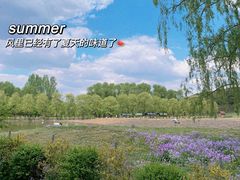 -沈阳森林动物园