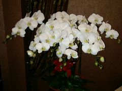 -酒城烤事(玉带龙庭店)