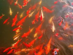 -湖南湘都生态农业园