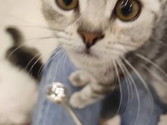 -共舞时光猫咖·狗咖(新街口店)