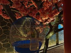 -蓝鲸湾汤泉(包河店)