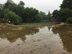 -韶山毛泽东同志故居