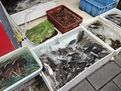 -汪记鲜鱼糊汤粉(沈阳路总店)