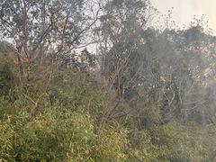-缥缈峰景区