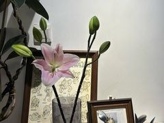 -翠娜家· Trina’s西餐厅(高新万达店)