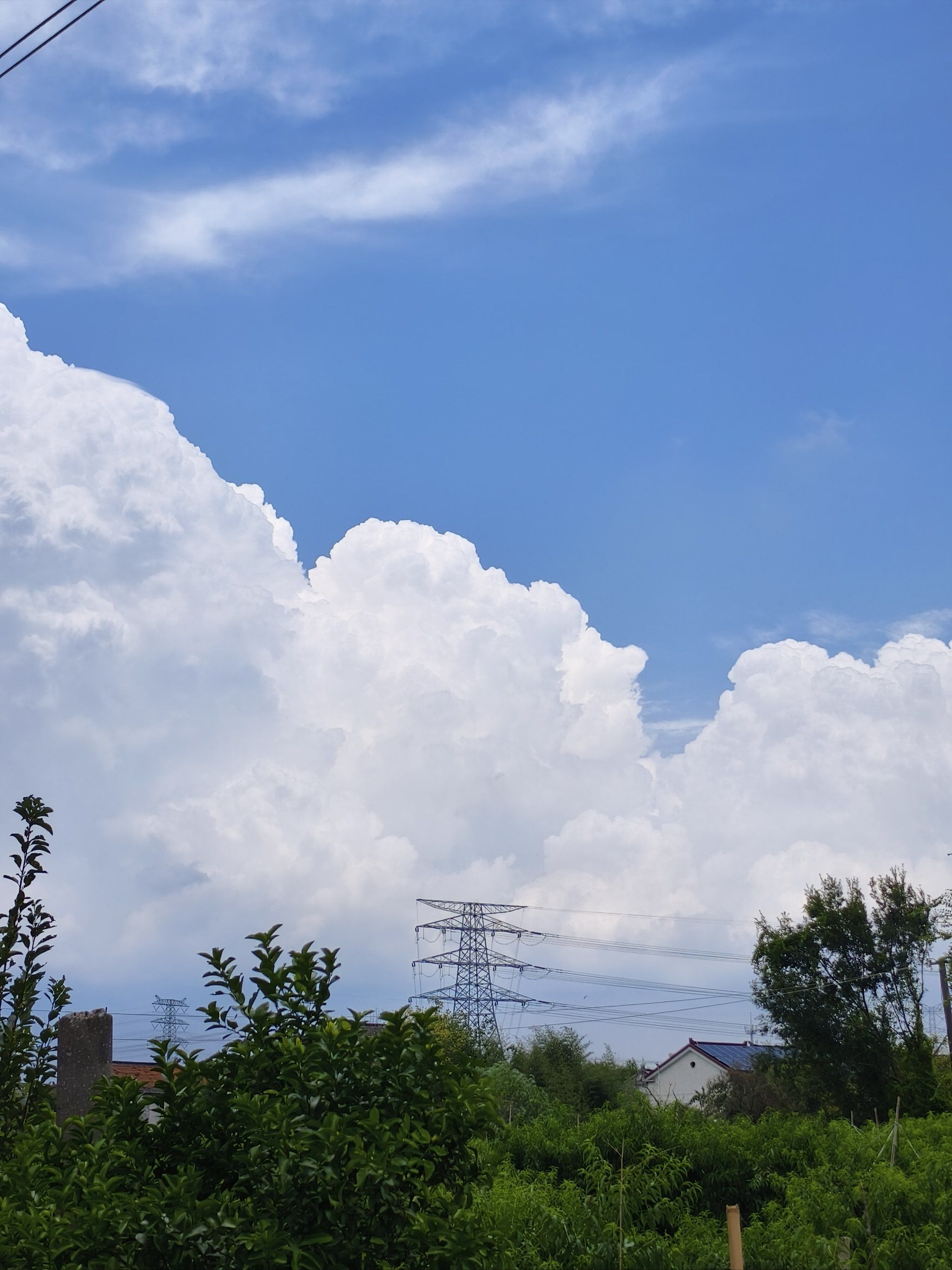 快来看新海诚的天空