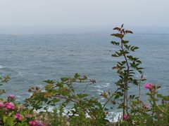 -小麦岛公园