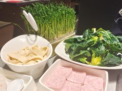 -海底捞火锅(海宁路店)