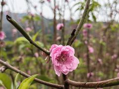 -水濂山森林公园