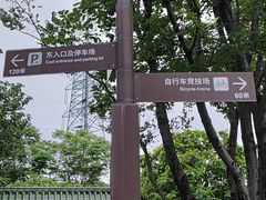 -王借岗森林公园