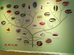 -上海昆虫博物馆