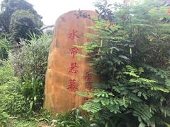 -海南热带雨林国家公园吊罗山景区