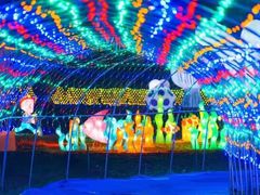 -兰陵国家农业公园