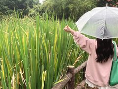 -成都市活水公园