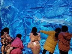 -郑州银基黄帝宫御温泉