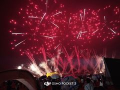 -南宁花花大世界景区