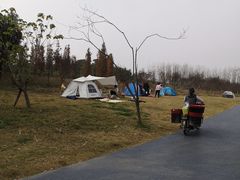 -两河城市森林公园
