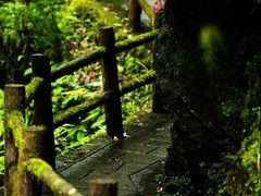 -西岭雪山大飞水景区