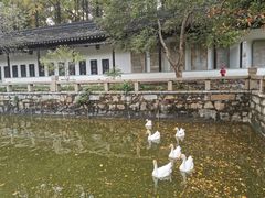 -苏州文庙(姑苏区)