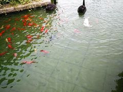 -行者书屋大堂吧 ·下午茶(南京圣和府邸酒店)