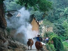 -杨家堂村