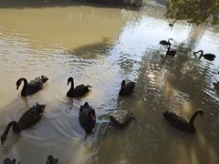 -东莞香市动物园